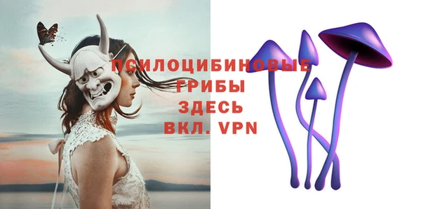 спайс Богданович