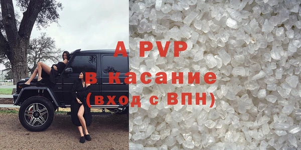 спайс Богданович