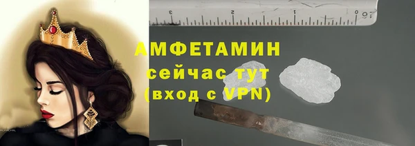 спайс Богданович