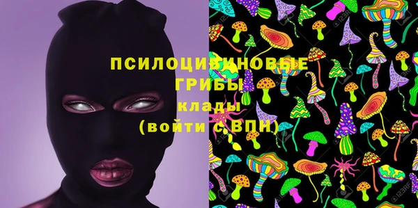 мескалин Бородино