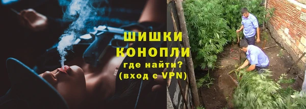 мескалин Бородино